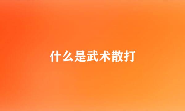 什么是武术散打