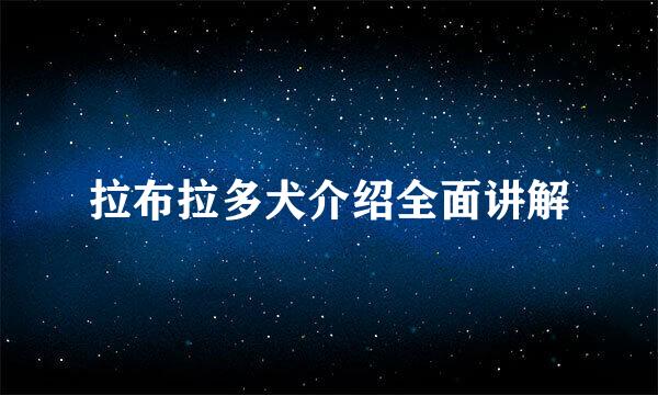 拉布拉多犬介绍全面讲解