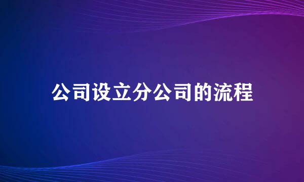 公司设立分公司的流程