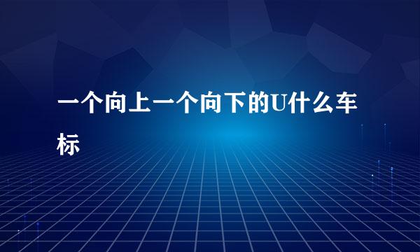 一个向上一个向下的U什么车标