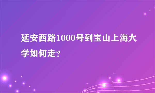 延安西路1000号到宝山上海大学如何走？