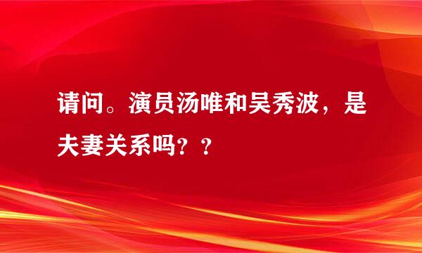 请问。演员汤唯和吴秀波，是夫妻关系吗？？