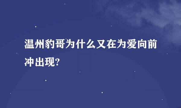 温州豹哥为什么又在为爱向前冲出现?