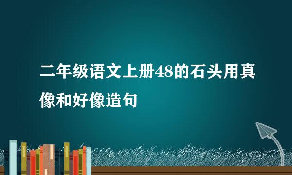 二年级语文上册48的石头用真像和好像造句