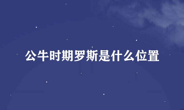 公牛时期罗斯是什么位置