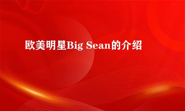 欧美明星Big Sean的介绍