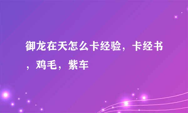 御龙在天怎么卡经验，卡经书，鸡毛，紫车