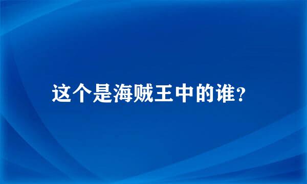 这个是海贼王中的谁？