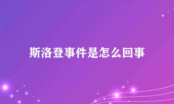 斯洛登事件是怎么回事