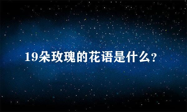 19朵玫瑰的花语是什么？