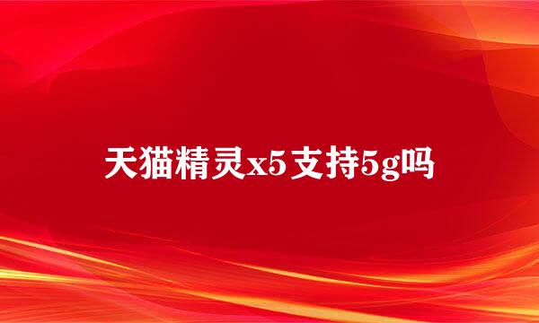 天猫精灵x5支持5g吗