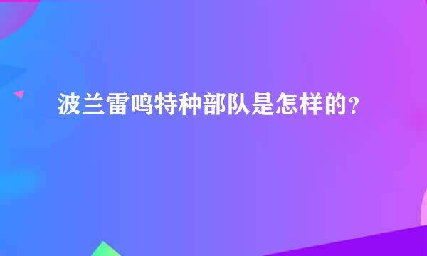 波兰雷鸣特种部队是怎样的？