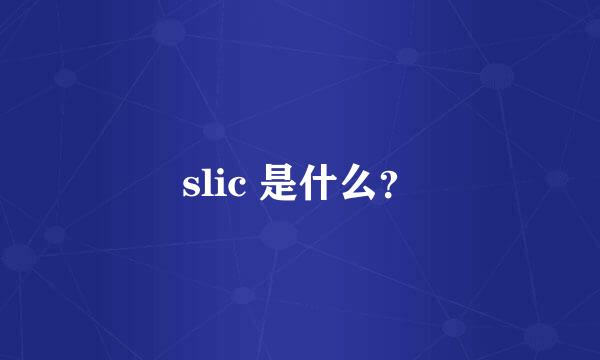slic 是什么？