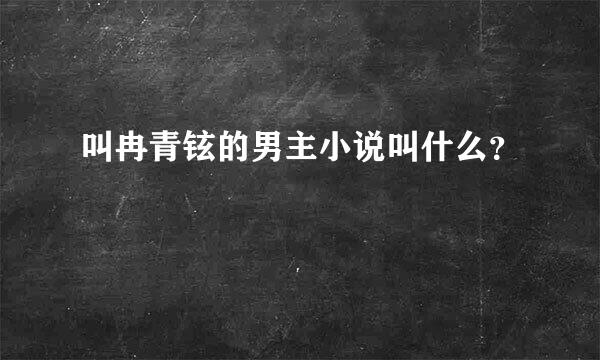 叫冉青铉的男主小说叫什么？