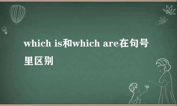 which is和which are在句号里区别