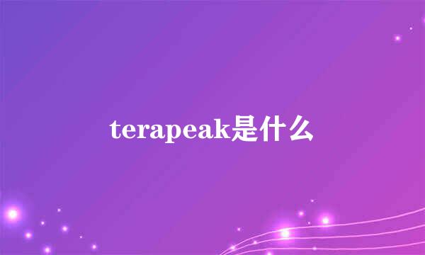 terapeak是什么