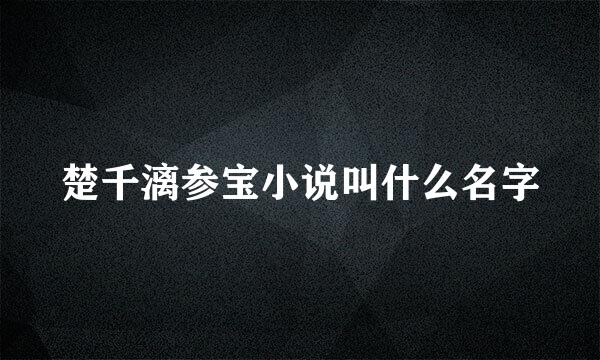 楚千漓参宝小说叫什么名字