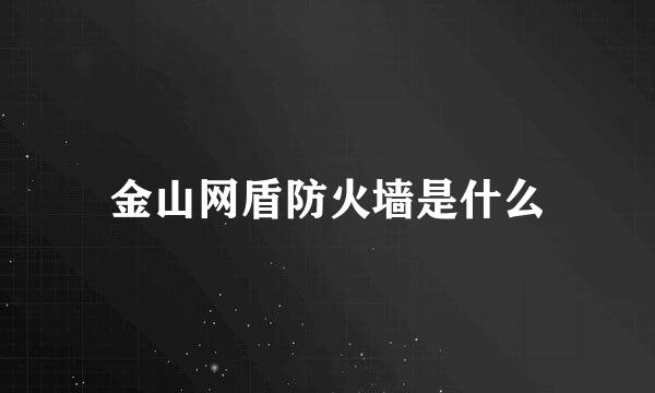 金山网盾防火墙是什么