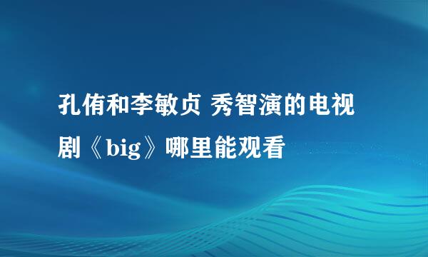 孔侑和李敏贞 秀智演的电视剧《big》哪里能观看