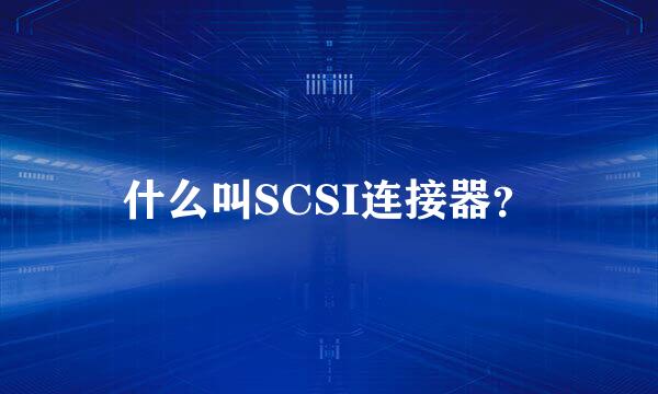 什么叫SCSI连接器？