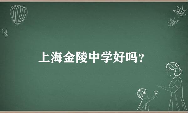 上海金陵中学好吗？
