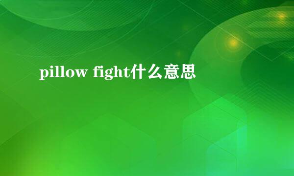 pillow fight什么意思