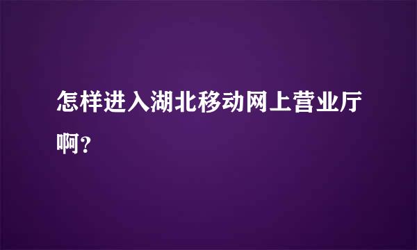 怎样进入湖北移动网上营业厅啊？