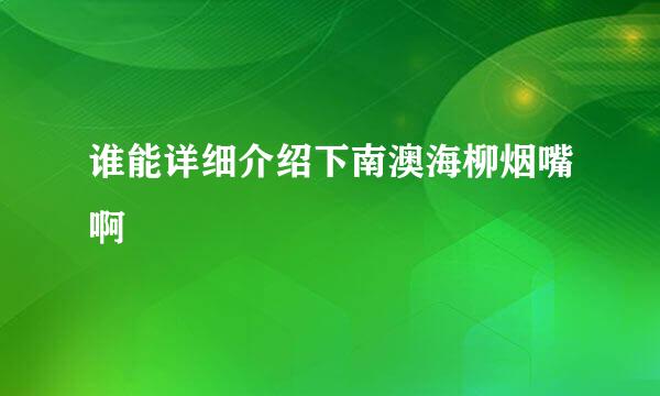 谁能详细介绍下南澳海柳烟嘴啊