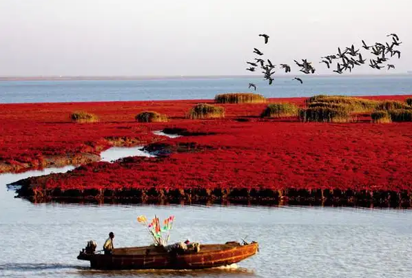 中秋节去哪里玩比较好