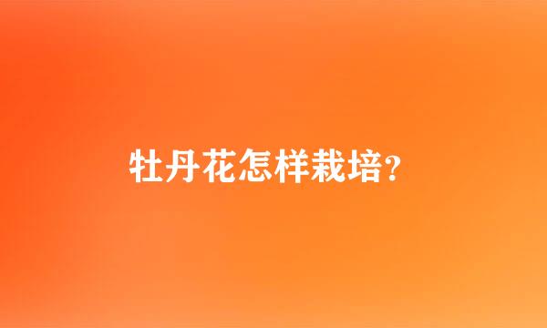 牡丹花怎样栽培？