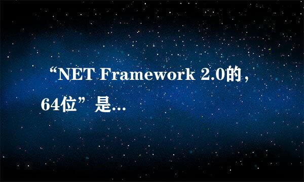 “NET Framework 2.0的，64位”是什么意思