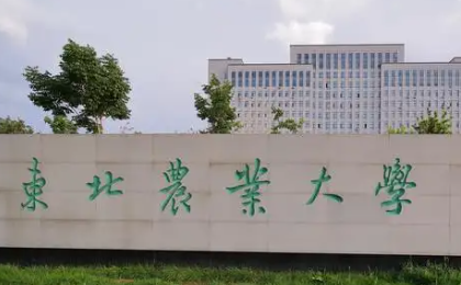 高考成绩低的可以上什么大学