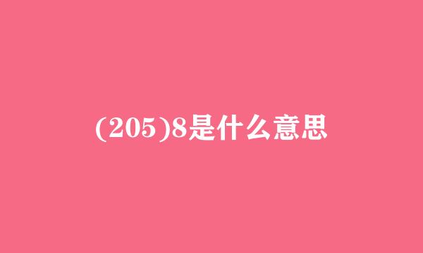 (205)8是什么意思