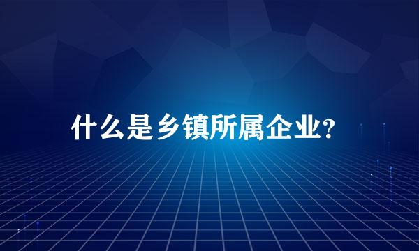 什么是乡镇所属企业？