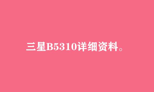 三星B5310详细资料。