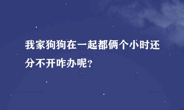 我家狗狗在一起都俩个小时还分不开咋办呢？