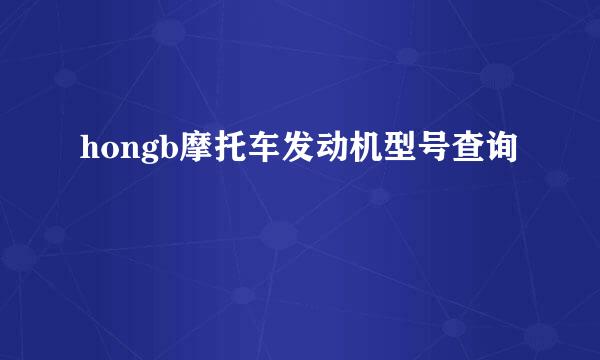 hongb摩托车发动机型号查询