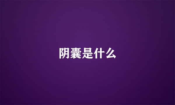 阴囊是什么