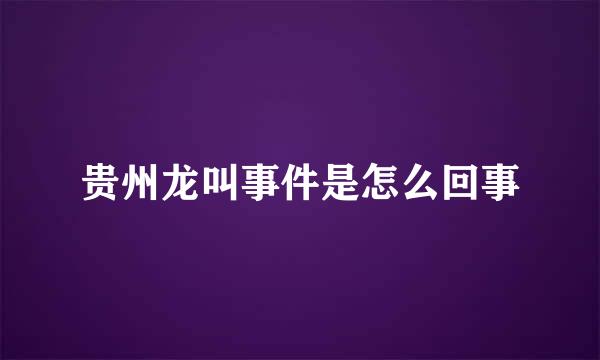 贵州龙叫事件是怎么回事