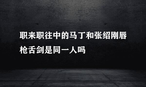 职来职往中的马丁和张绍刚唇枪舌剑是同一人吗