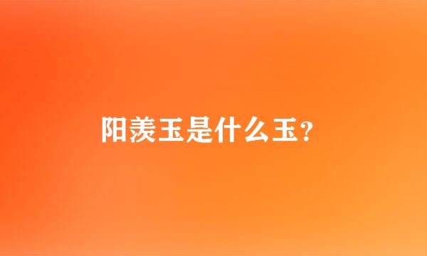 阳羡玉是什么玉？