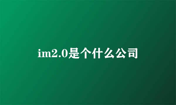 im2.0是个什么公司