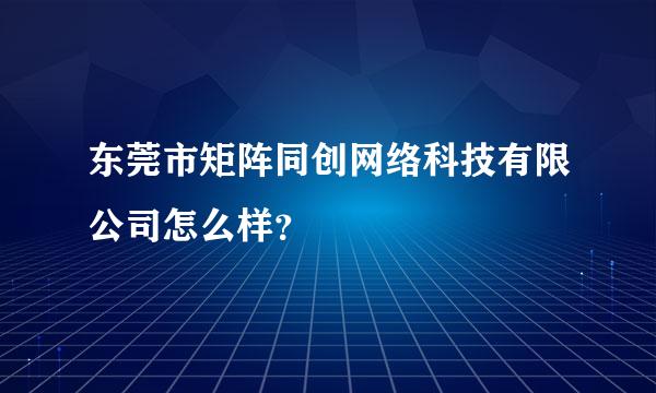 东莞市矩阵同创网络科技有限公司怎么样？