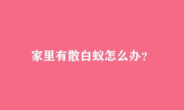 家里有散白蚁怎么办？