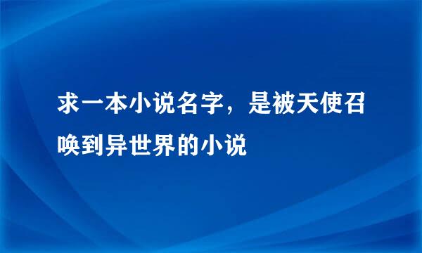 求一本小说名字，是被天使召唤到异世界的小说