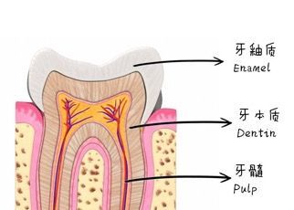 饭后多长时间刷牙?(请拿出科学依据来，最好查过或者咨询过)