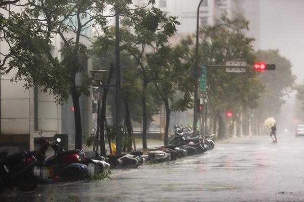 “梅花”奔袭江浙沪：多地狂风大浪，对哪些方面有不利影响？