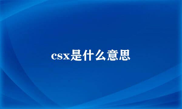 csx是什么意思