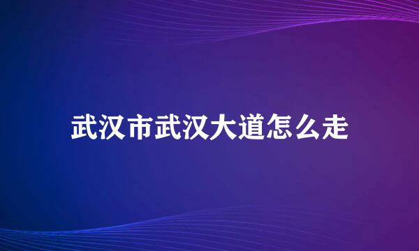 武汉市武汉大道怎么走