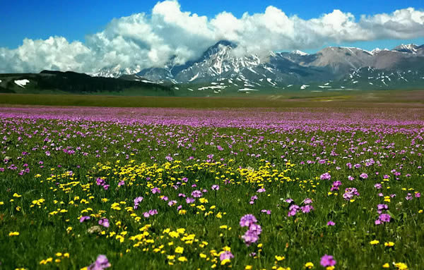 新疆的伊犁到底有多美？
